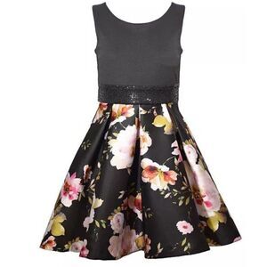 NWT Iris & Ivy Little Girls Pleated Floral Dress Size 14